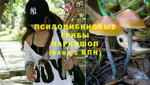таблы Алзамай