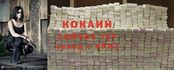 стафф Абаза