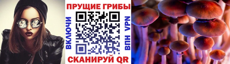 Псилоцибиновые грибы прущие грибы  Енисейск 